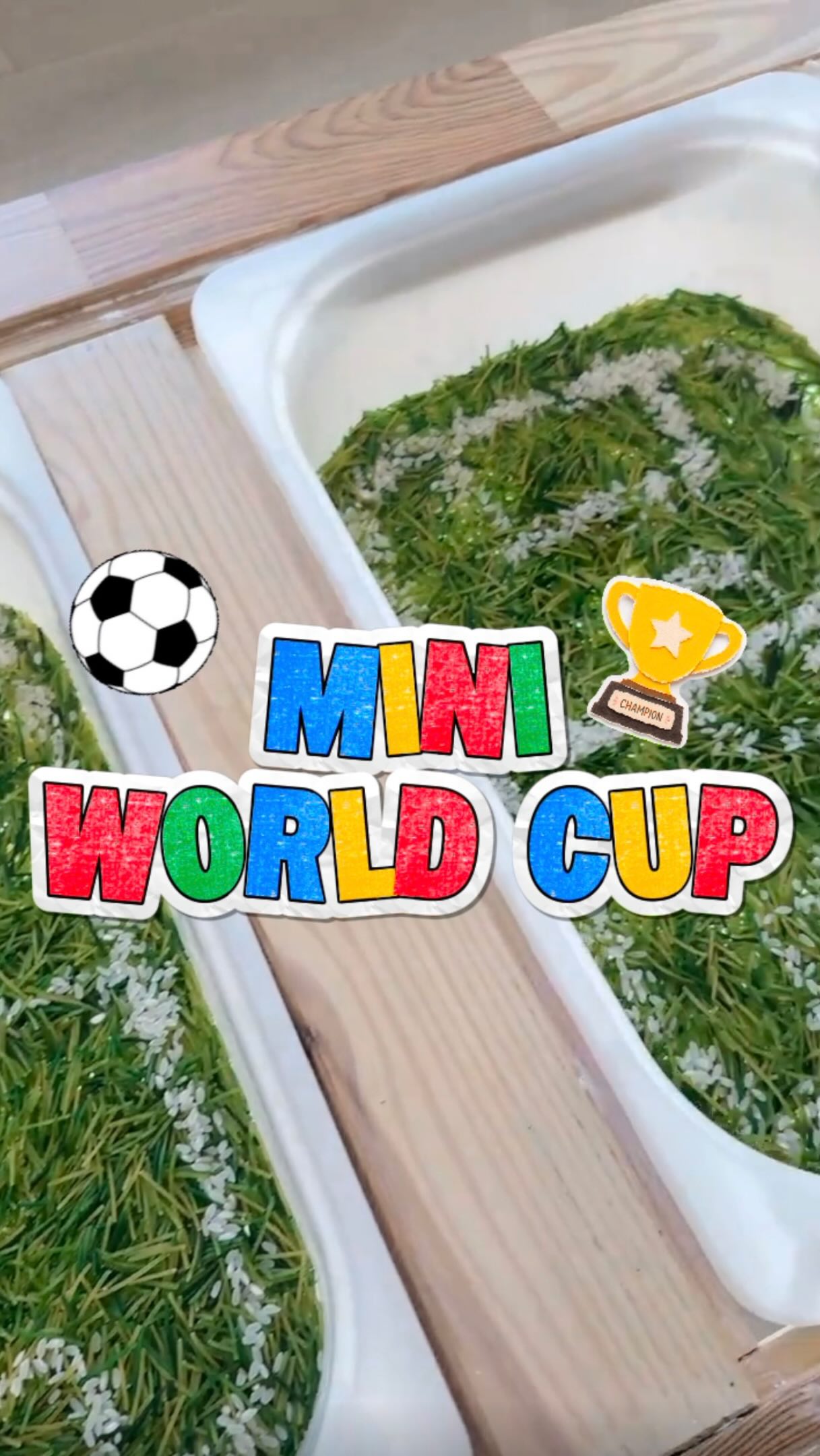 Mini World Cup soccer