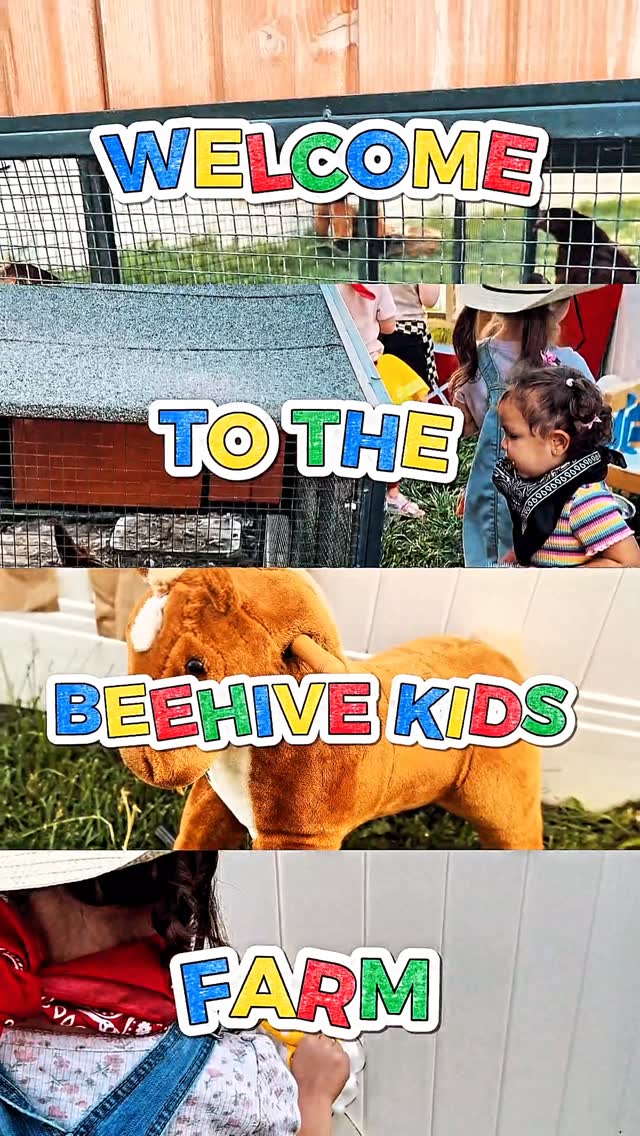 Meeting farm animals on farm day