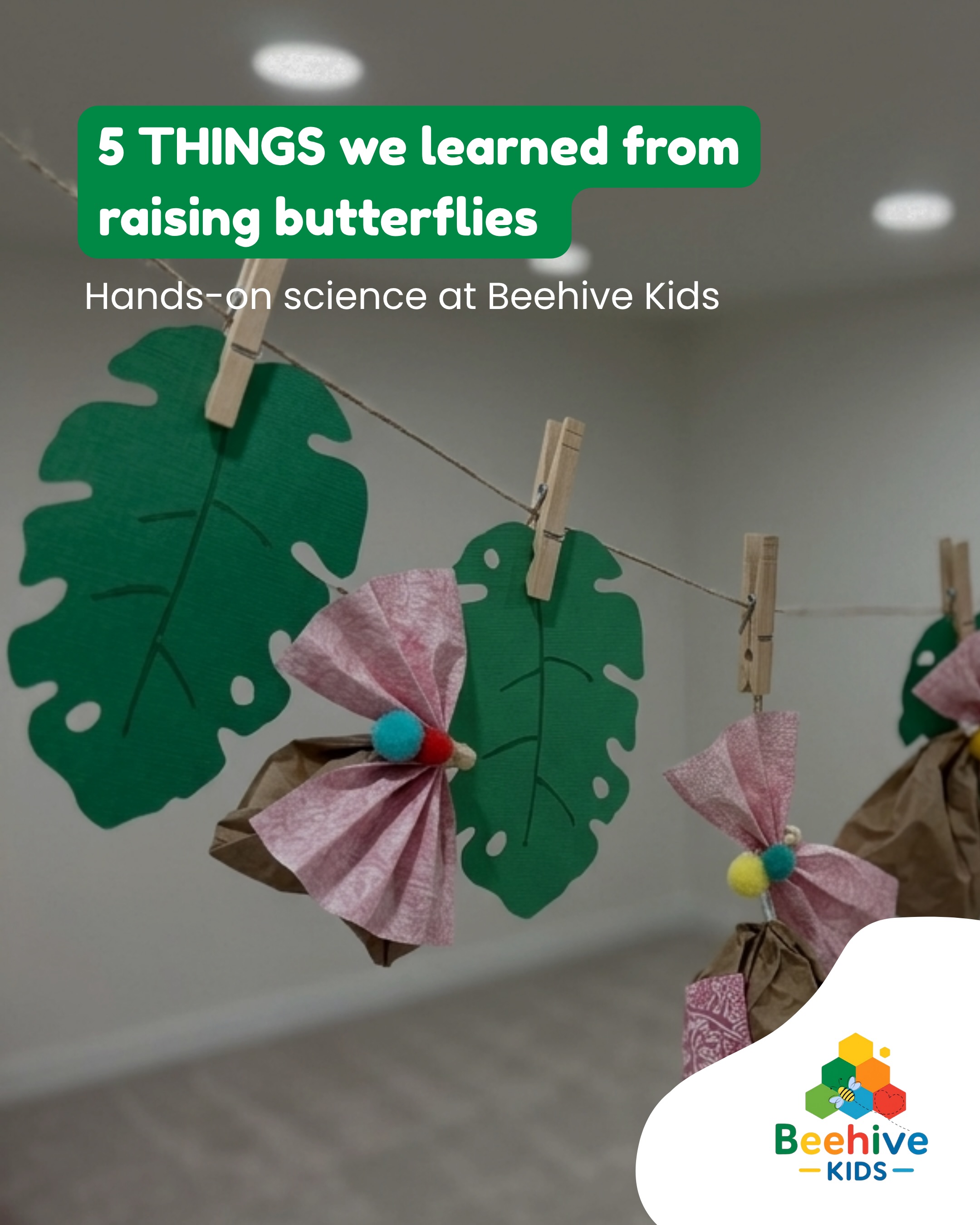 Hands-on science with real caterpillars