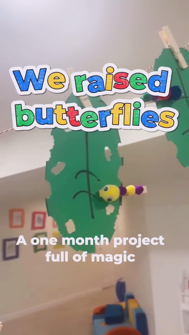 Butterfly life cycle learning